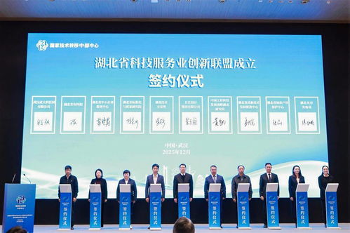 湖北省科技服務業創新聯盟成立，信息技術咨詢服務邁入新階段