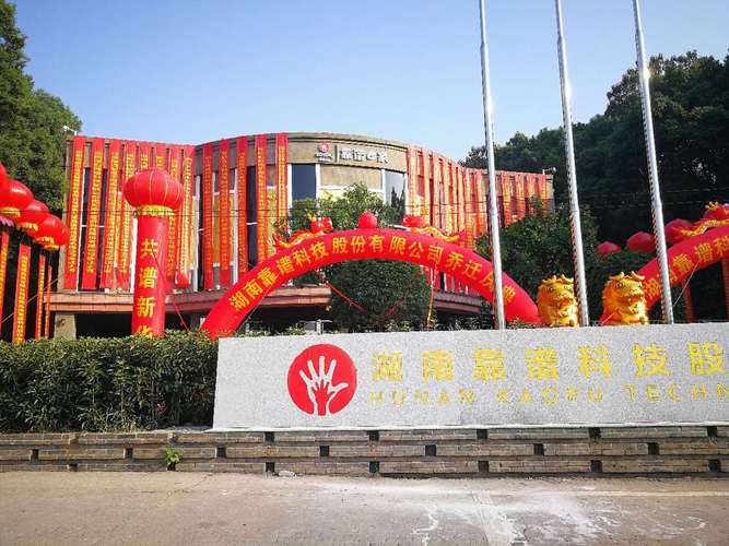 信息技術(shù)咨詢服務(wù) 企業(yè)數(shù)字化轉(zhuǎn)型的核心驅(qū)動(dòng)力