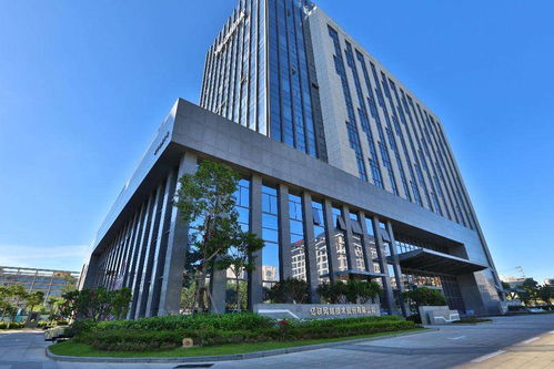 福建崛起數(shù)字造富新高地，24位億萬富翁領(lǐng)航網(wǎng)絡(luò)技術(shù)服務(wù)浪潮